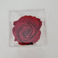 Eternal rose in Acrylic square box